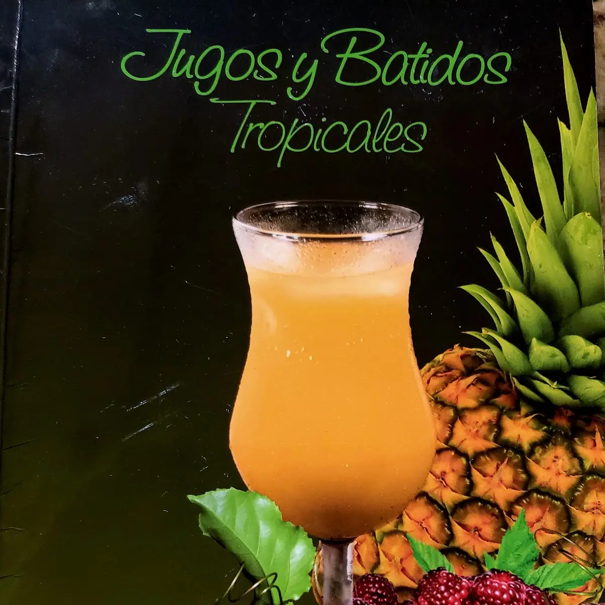 Bebidas Naturales Natural Drinks