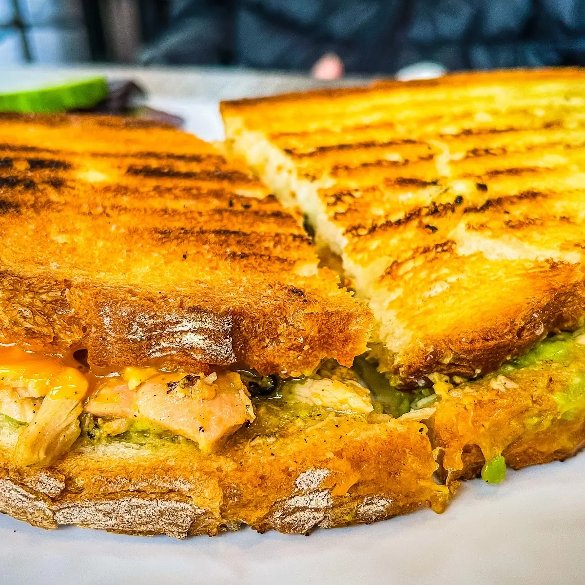 Chicken Avocado Panini