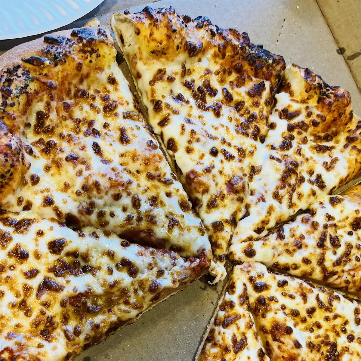 Cheese Pizza Margherita