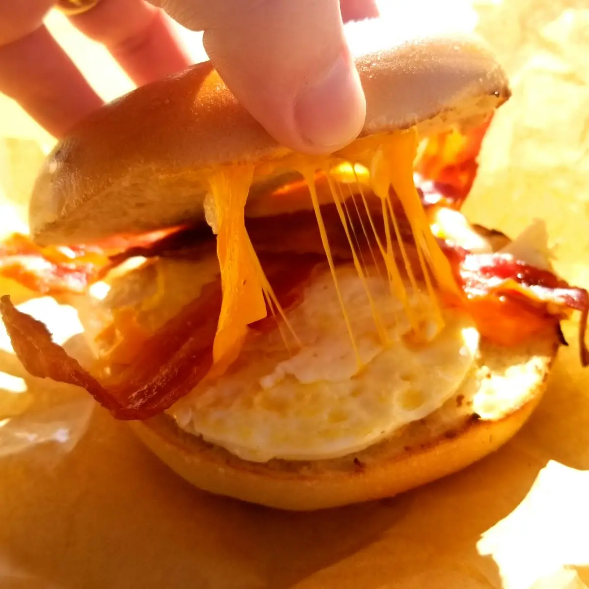 Bacon Egg and Cheese Bagel Sandwich