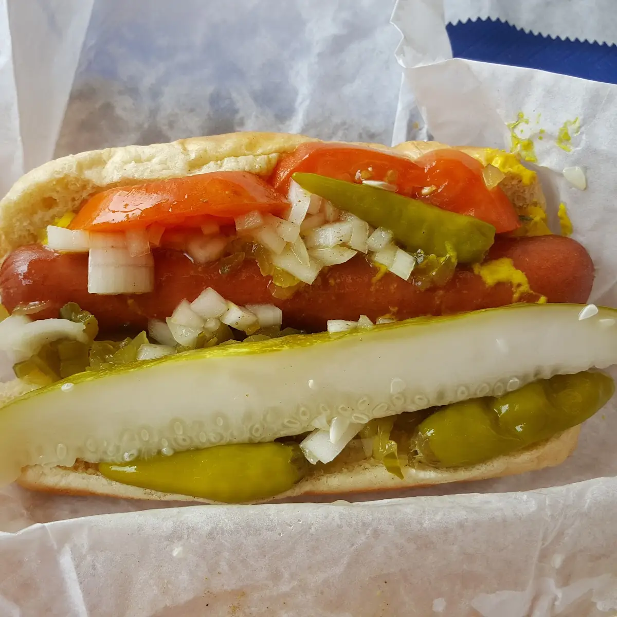 Hot Dog Chicago Style