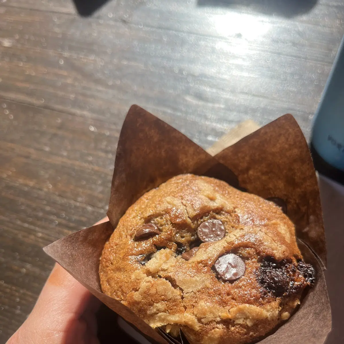 Blueberry Muffin