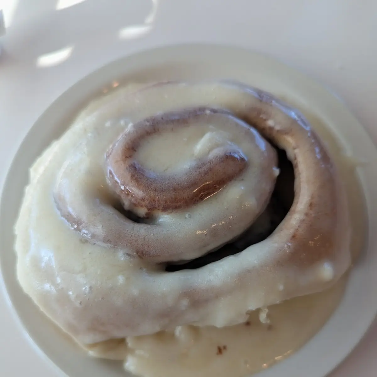 Fresh Baked Cinnamon Roll