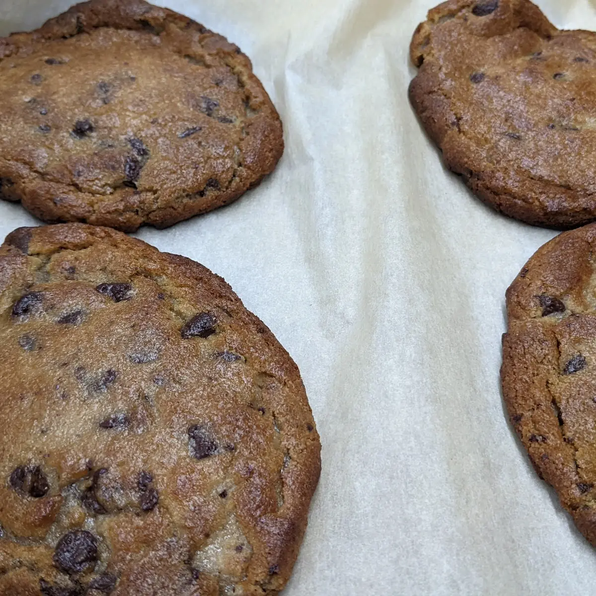Chocolate Chip Cookie