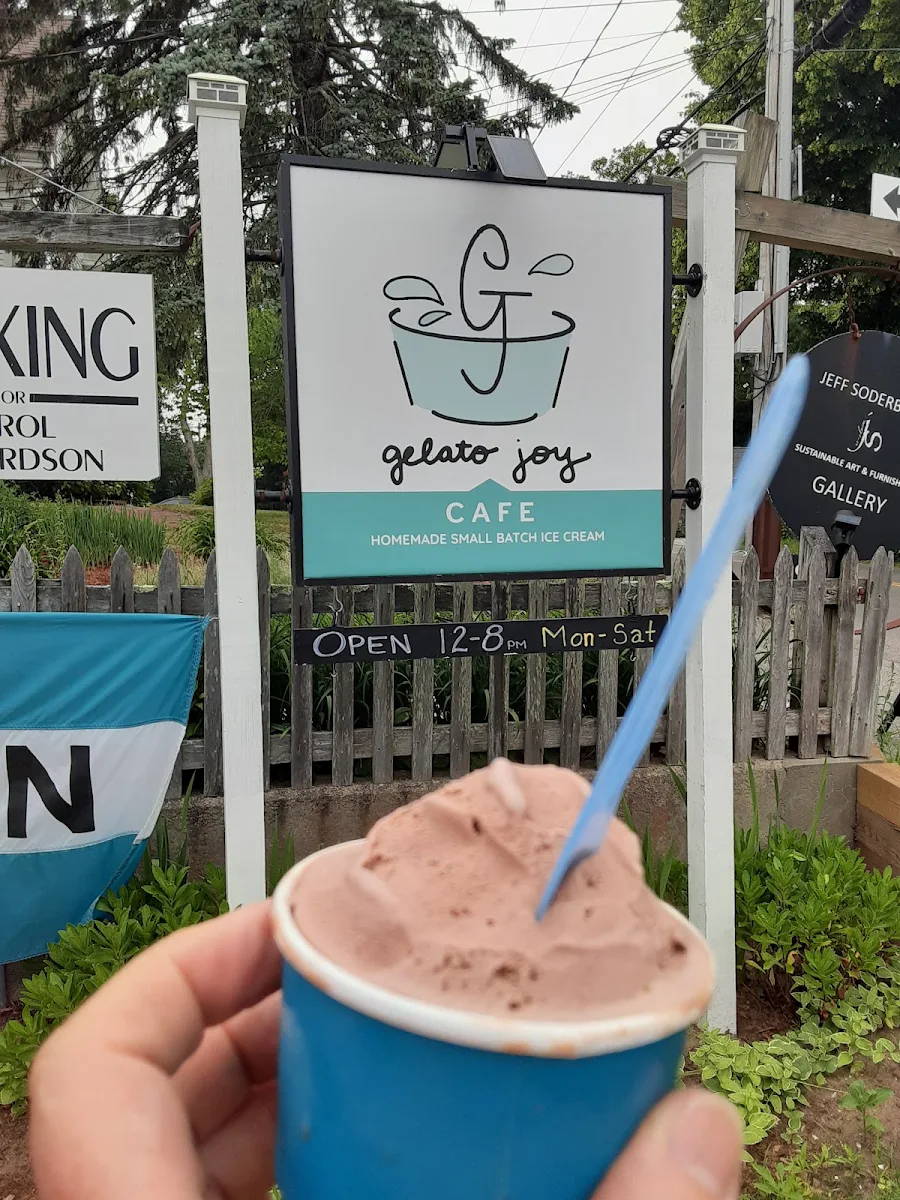 Chocolate Hazelnut Ice Cream