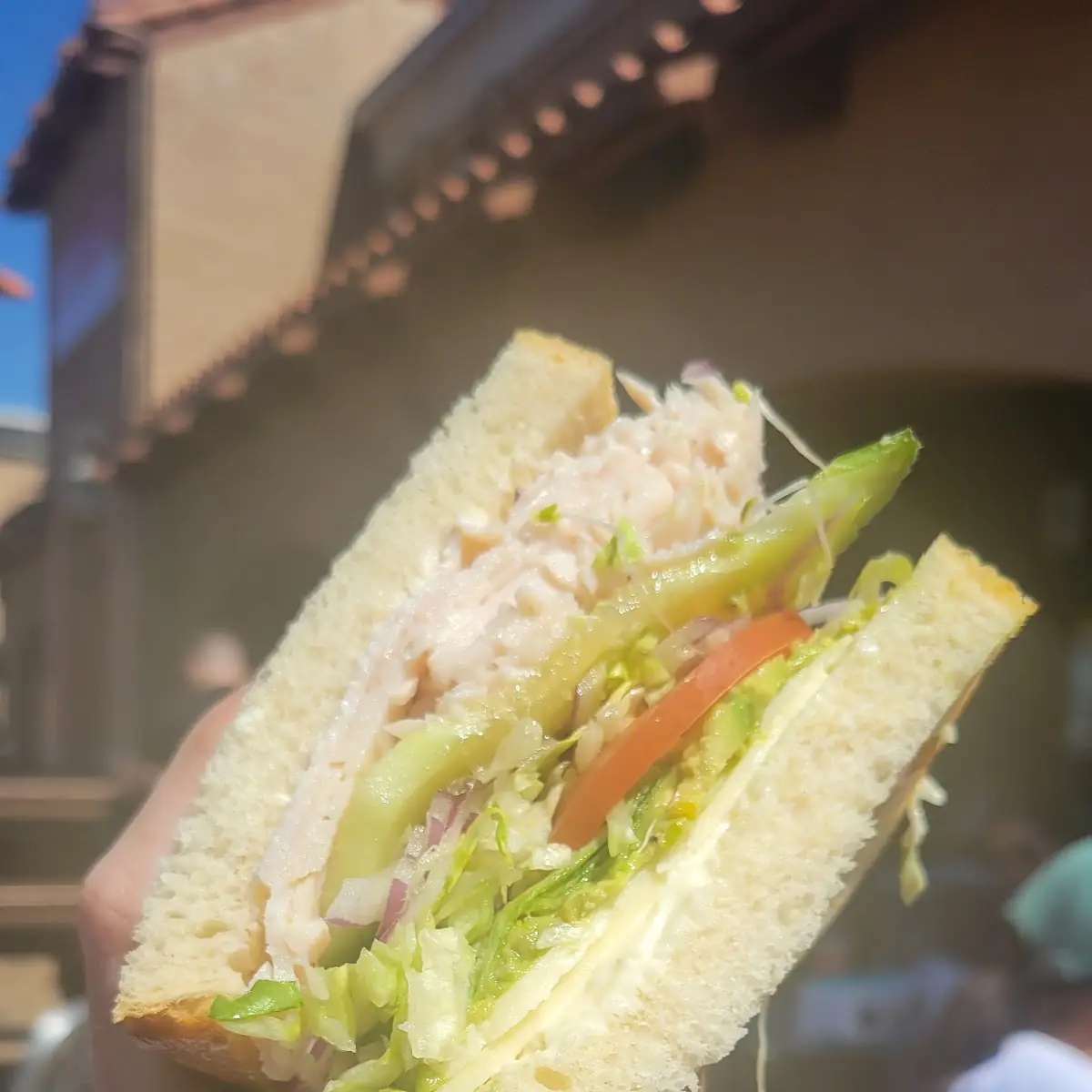 Turkado Sandwich