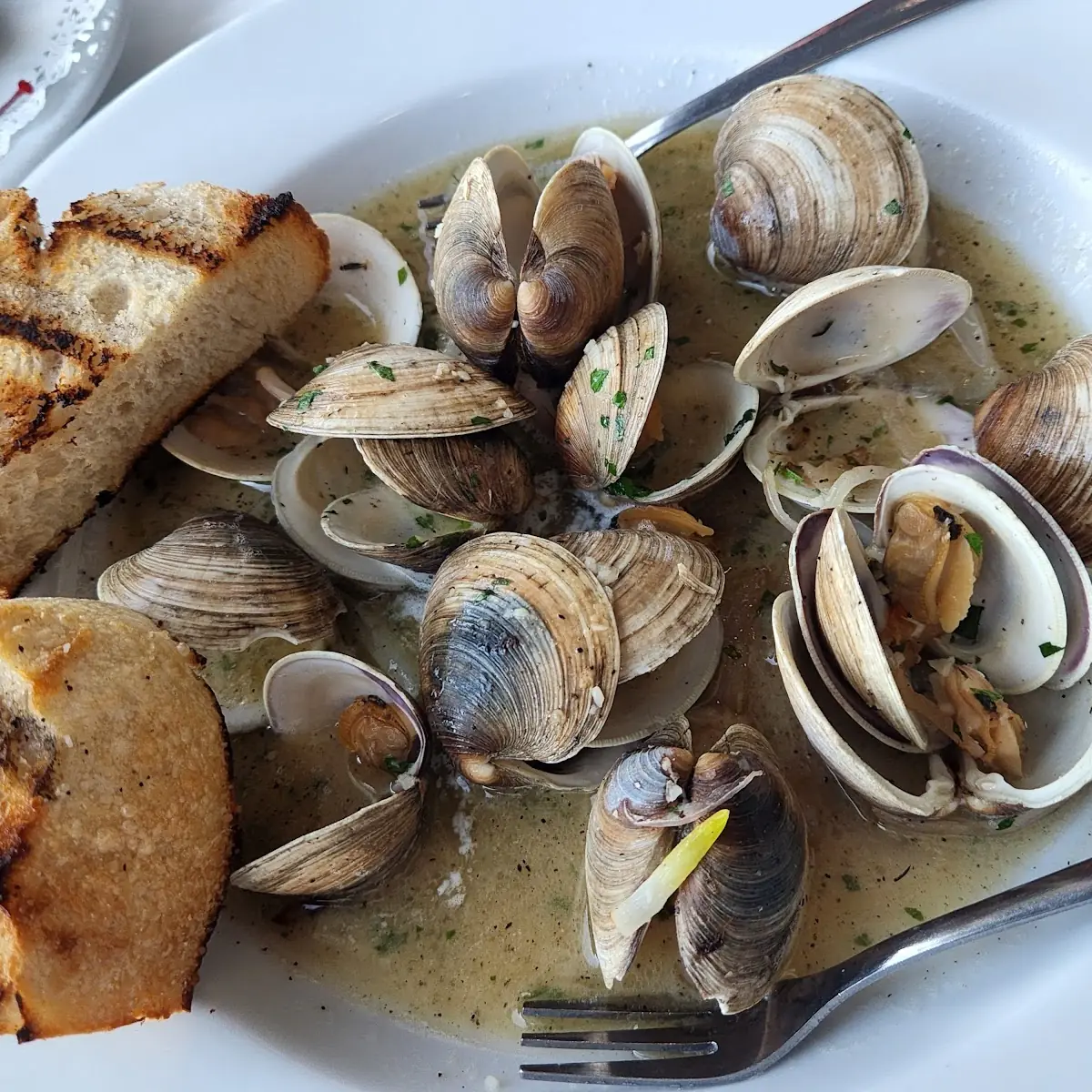Steamed Clams