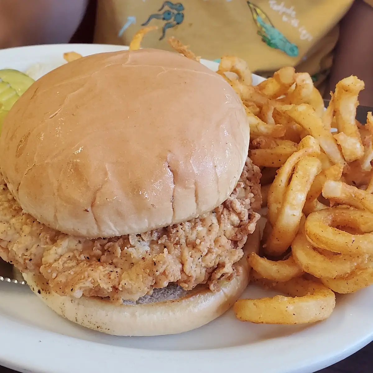 Fried Chicken Sandwich and Curly Fries