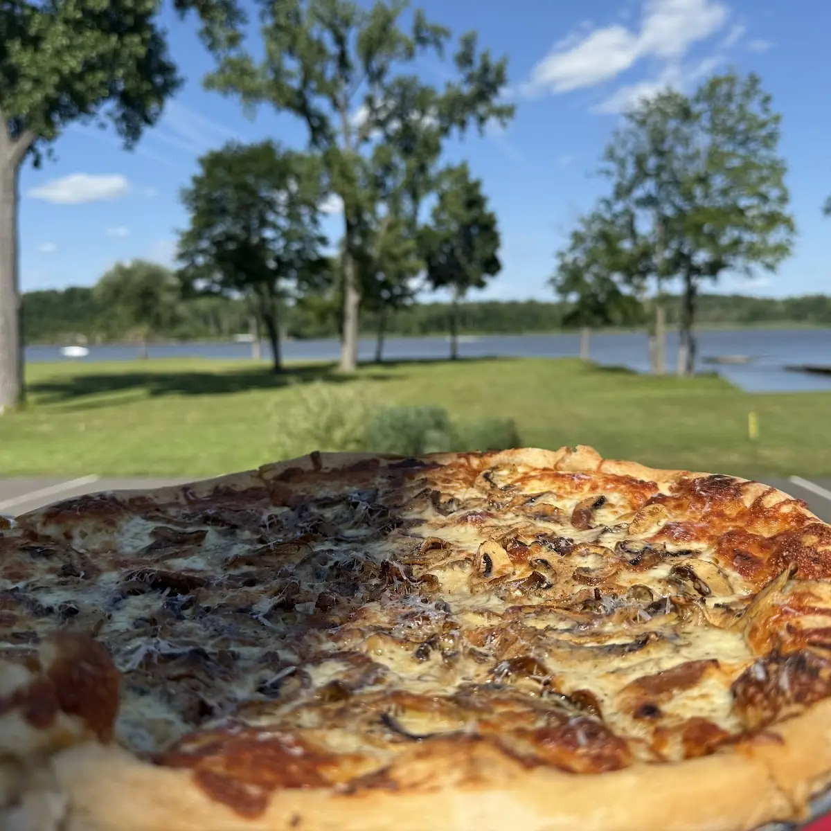 Mushroom Pizza W