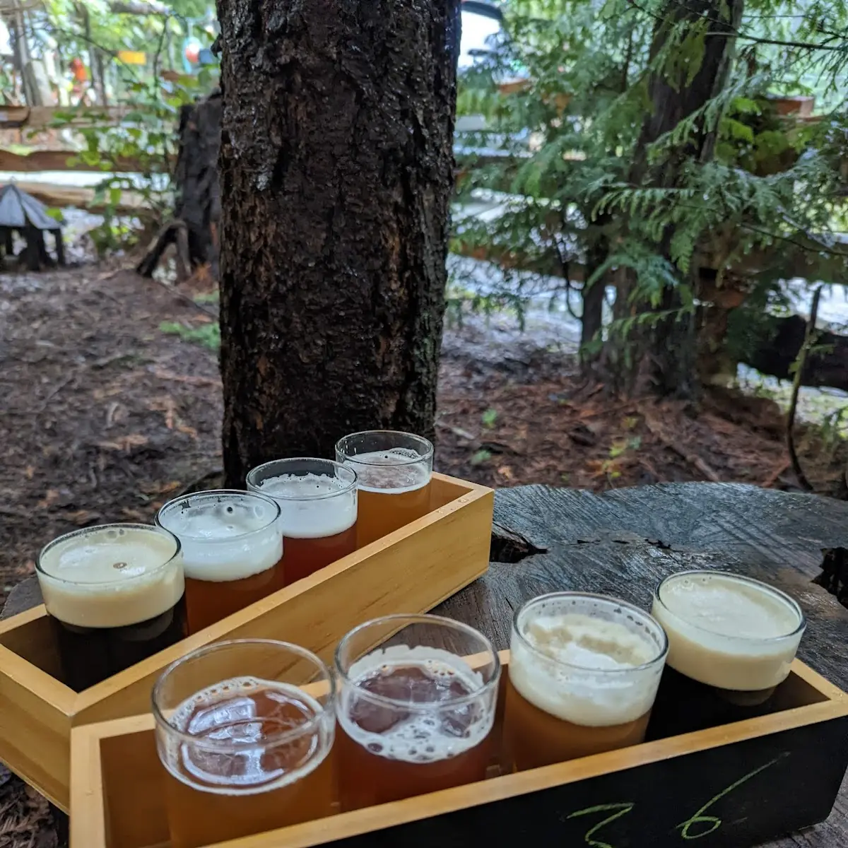 Beer Flight