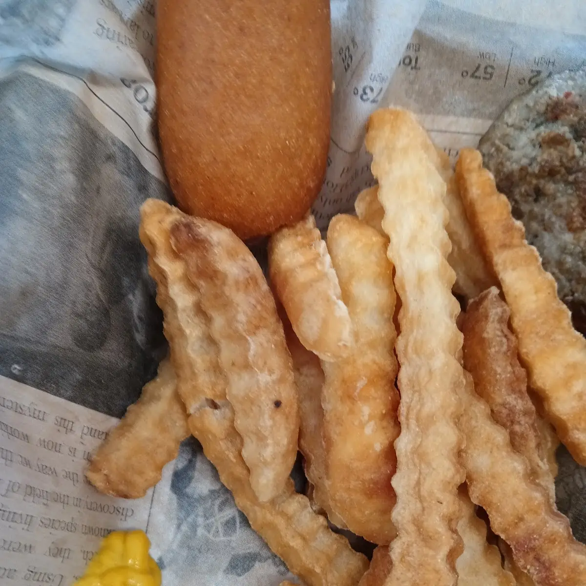 Corn Dog and Fries