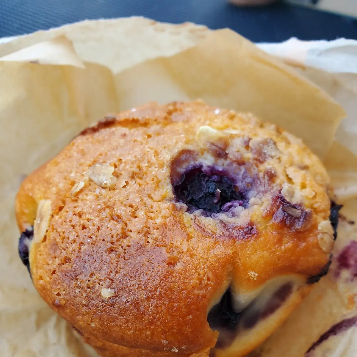 Blueberry Muffin