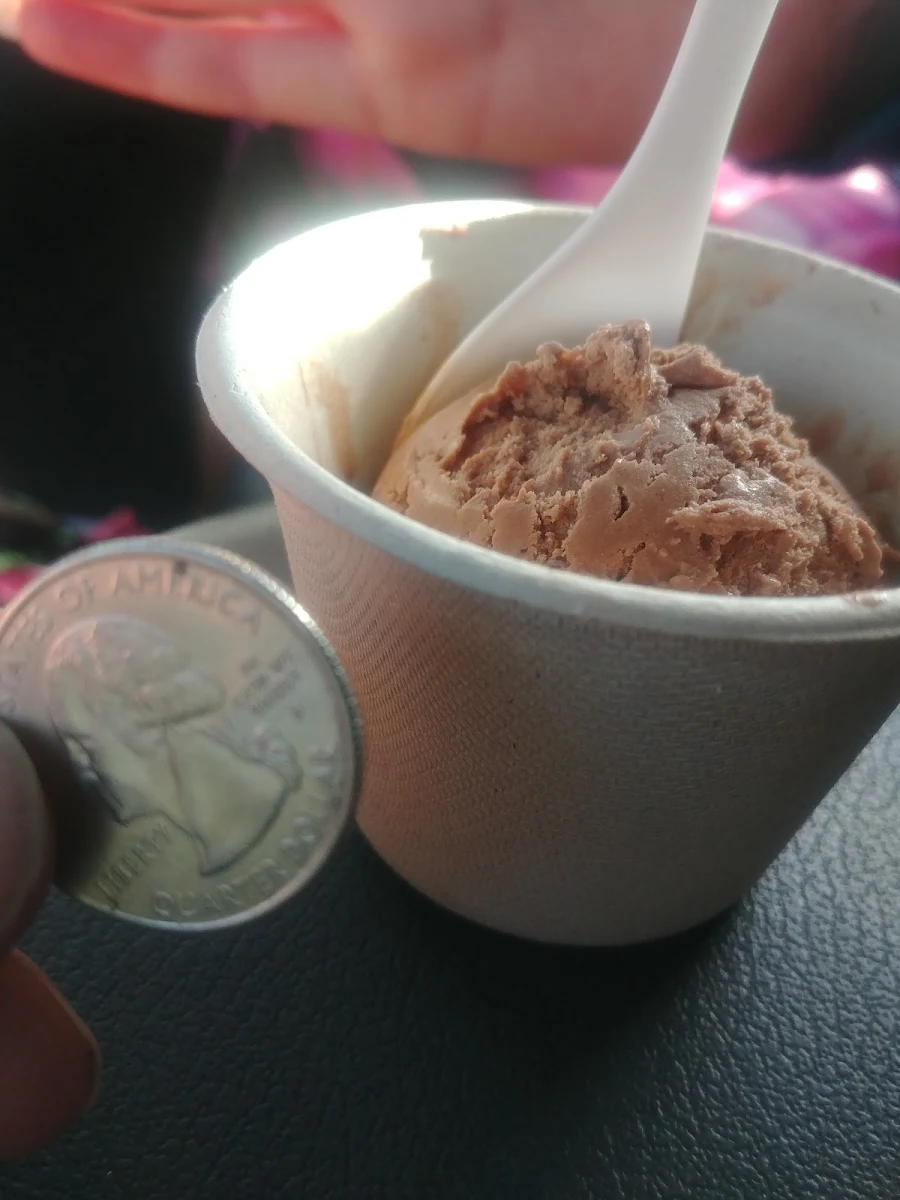 Bite Size Ice Cream
