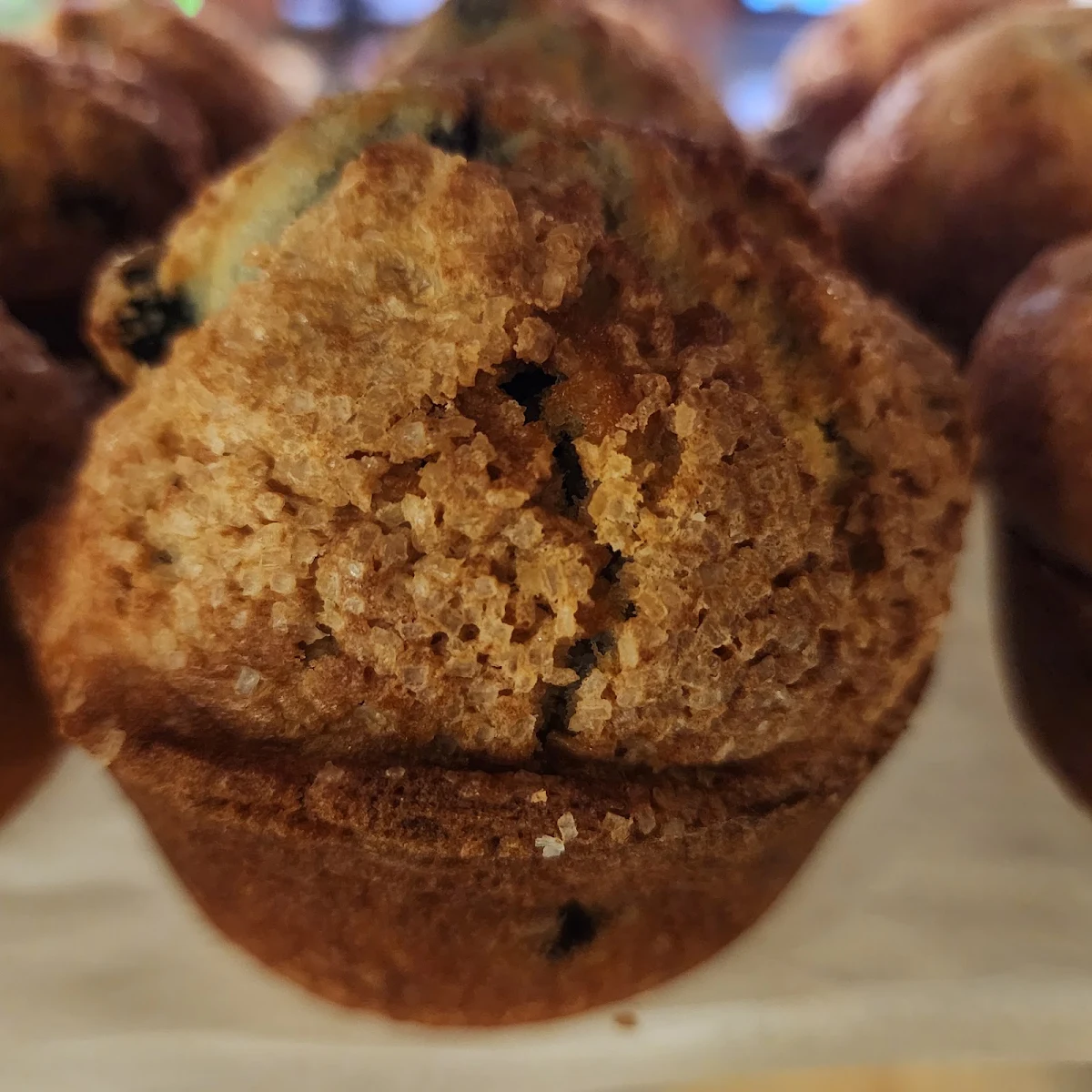 Cinnamon Raisin Muffins