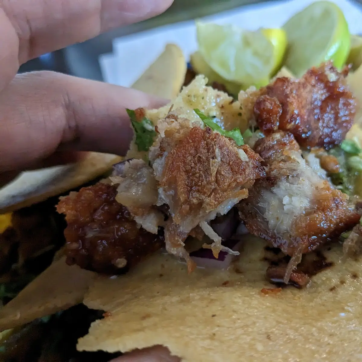 Chicharron Taco