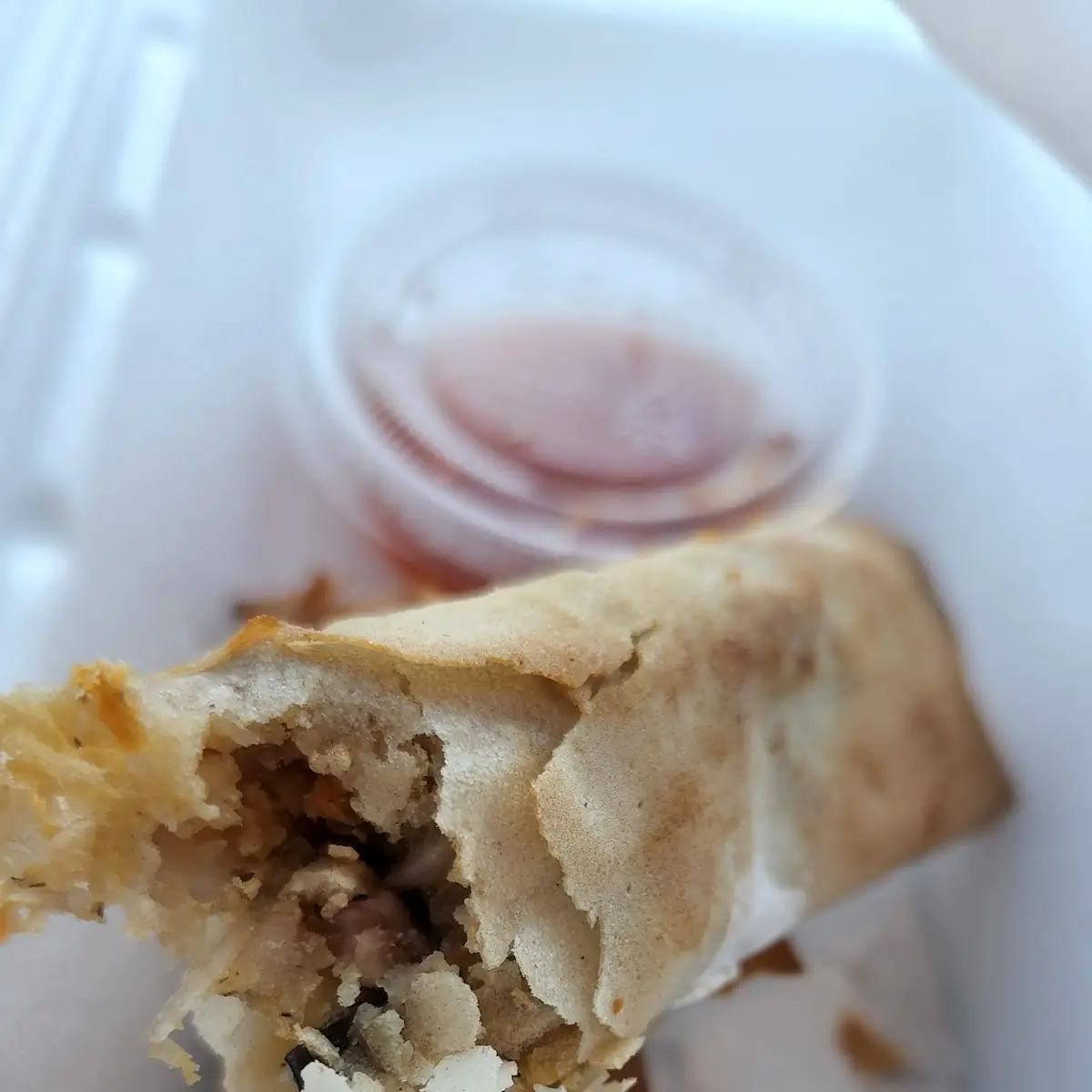 Spring Rolls 2 Vegan
