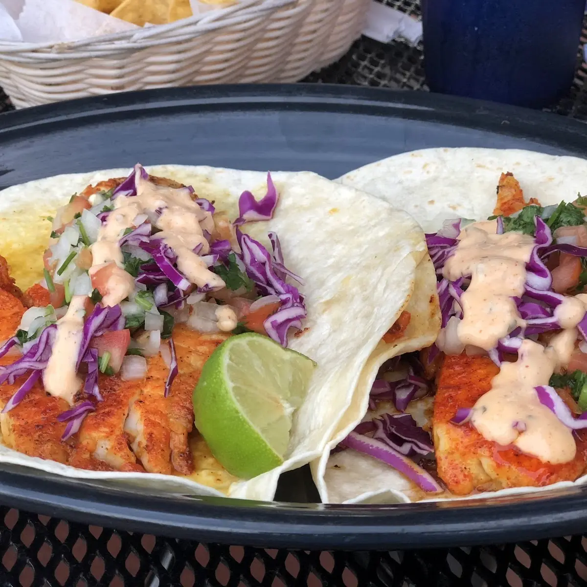 Chicken Fajita