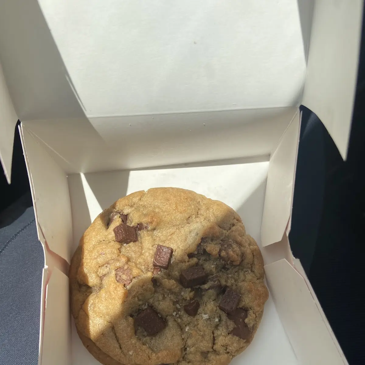 Chocolate Chip Cookie