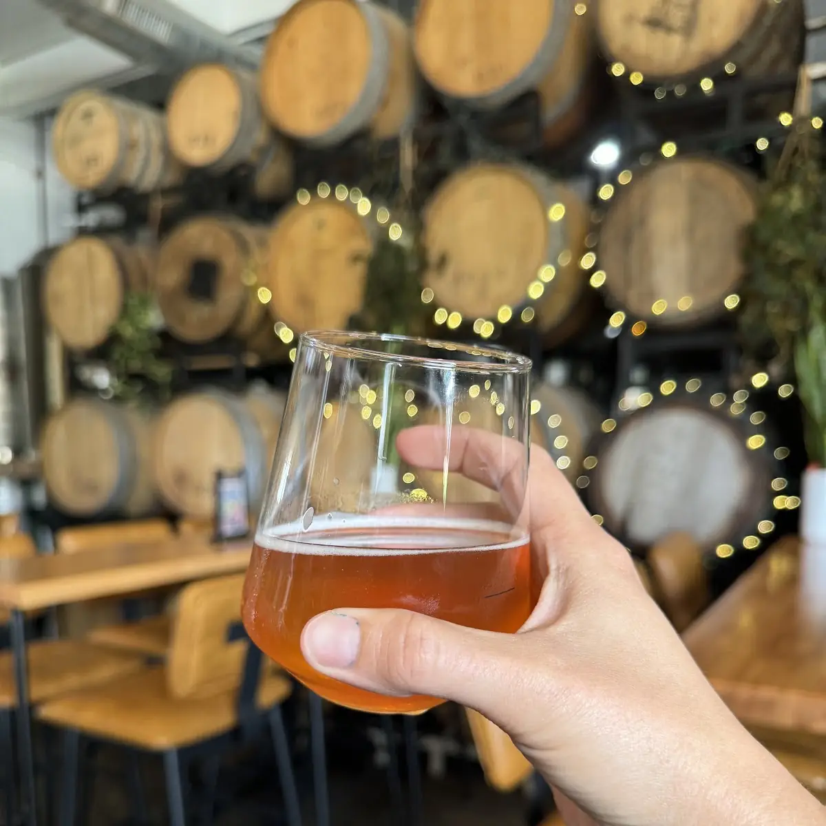 Craft Beer