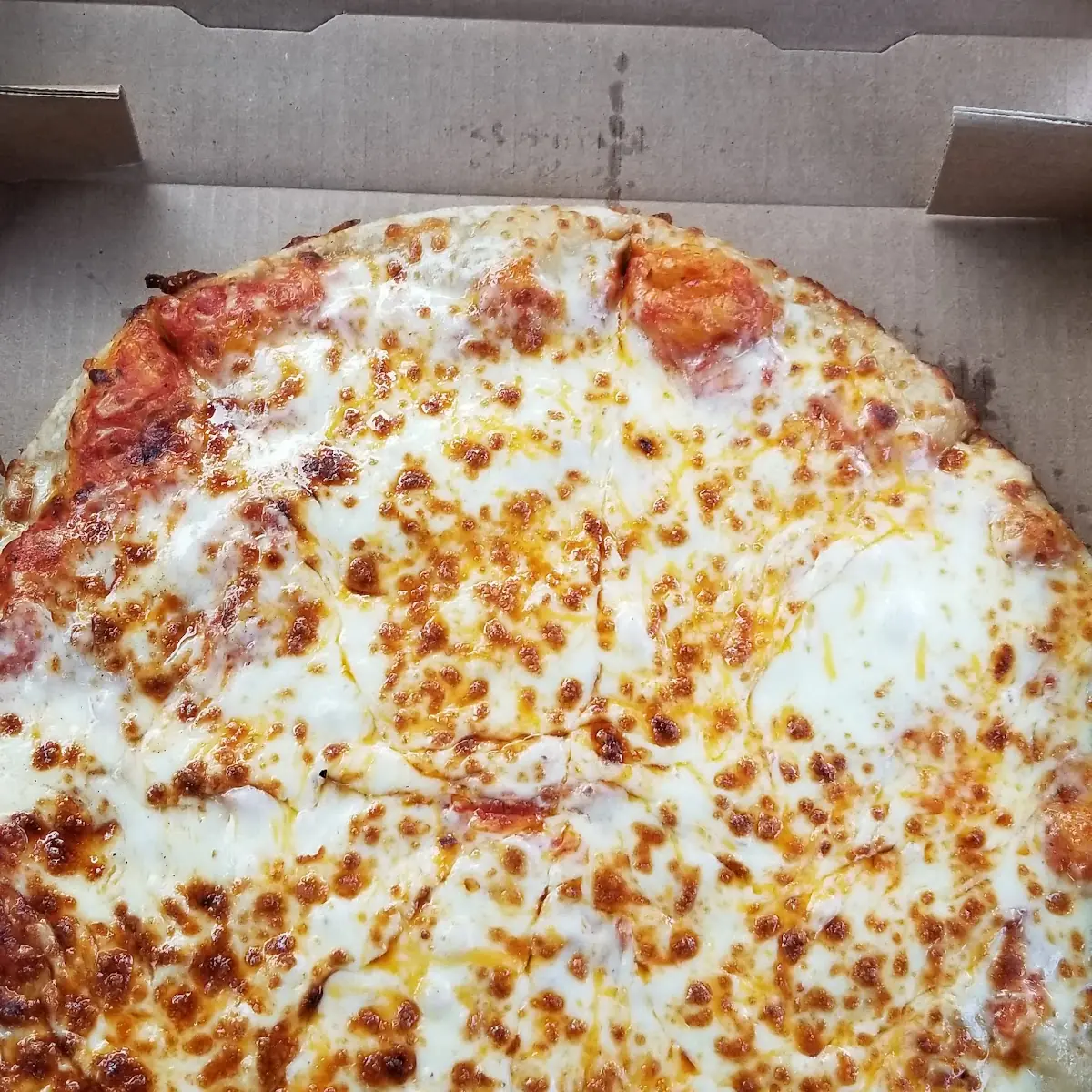 Cheese Pizza