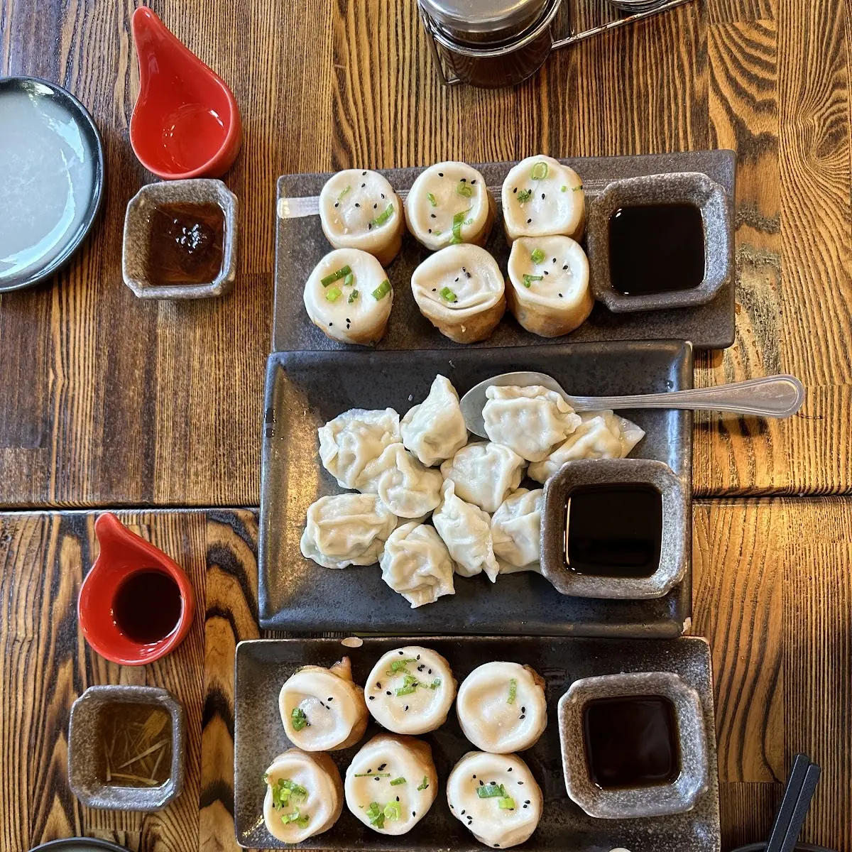 Pan Fried Dumplings