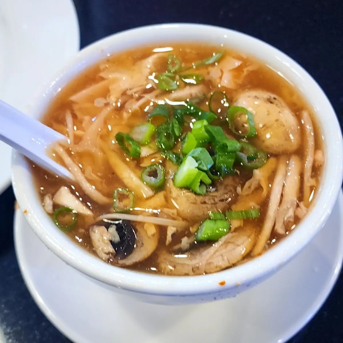 Hot and Sour Soup