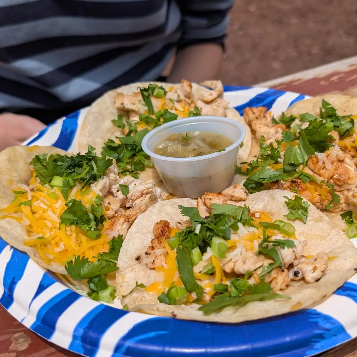 Chicken Nachos