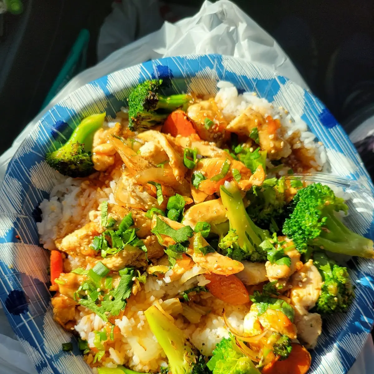 Mandarin Chicken