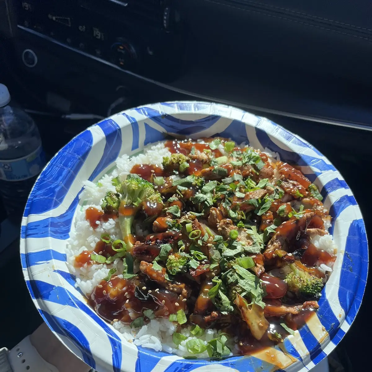 Teriyaki Bowl