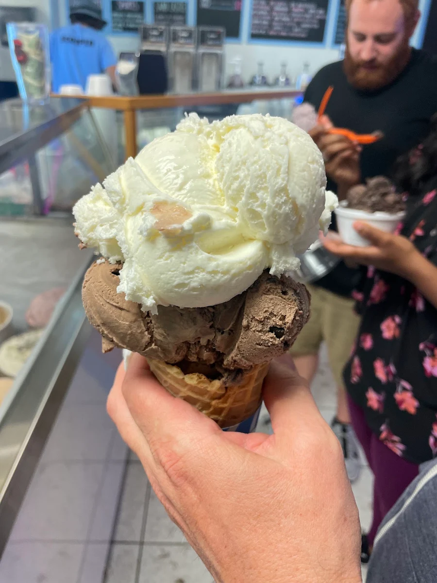 Coconut and Chocolate Ice Cream