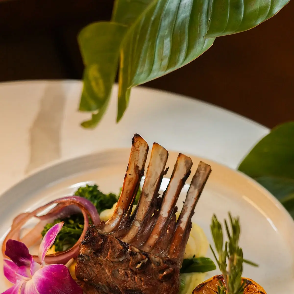 Lamb Chops