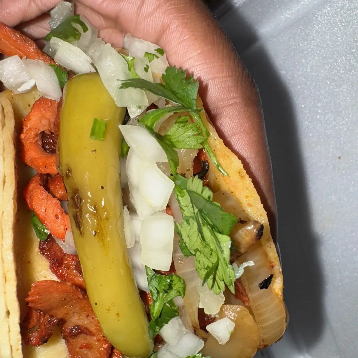 Hot Dog