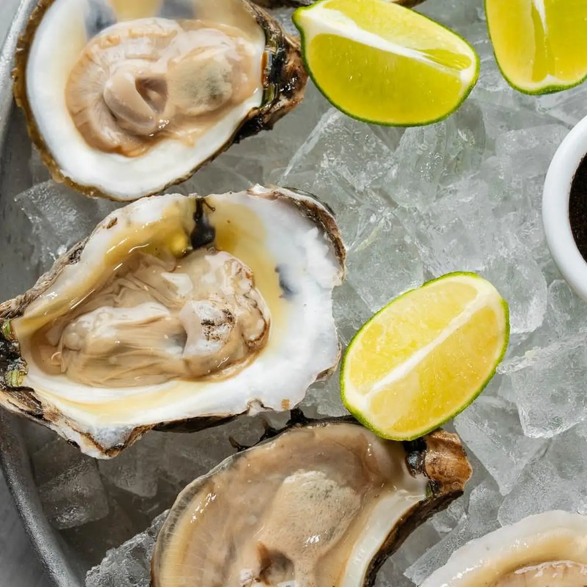Fresh Oysters