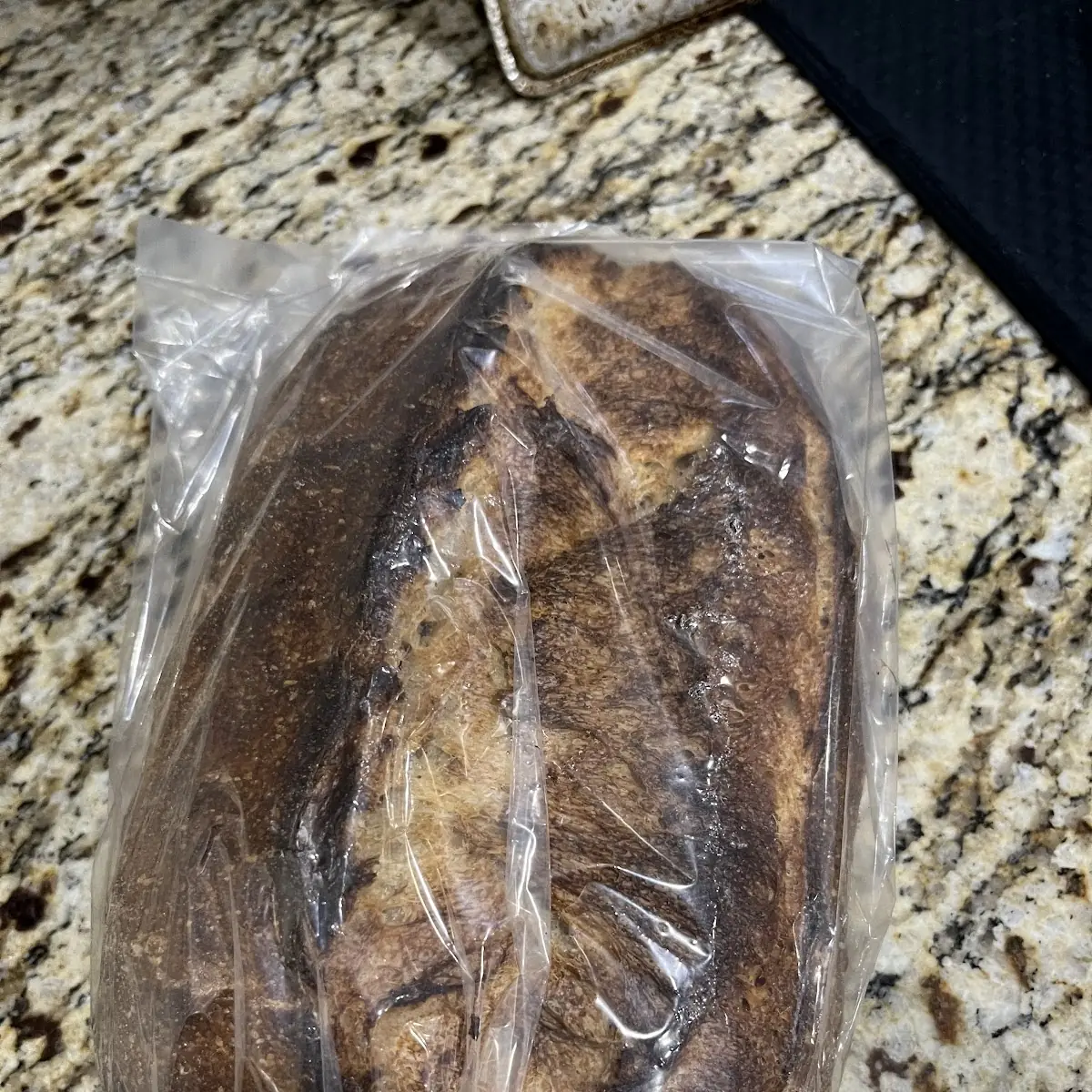 Sourdough