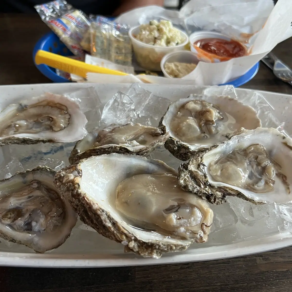 Oysters on a Half Shell