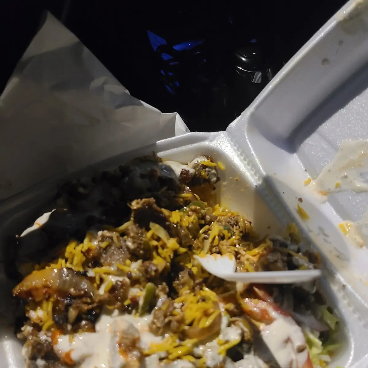 Carne Asada Fries