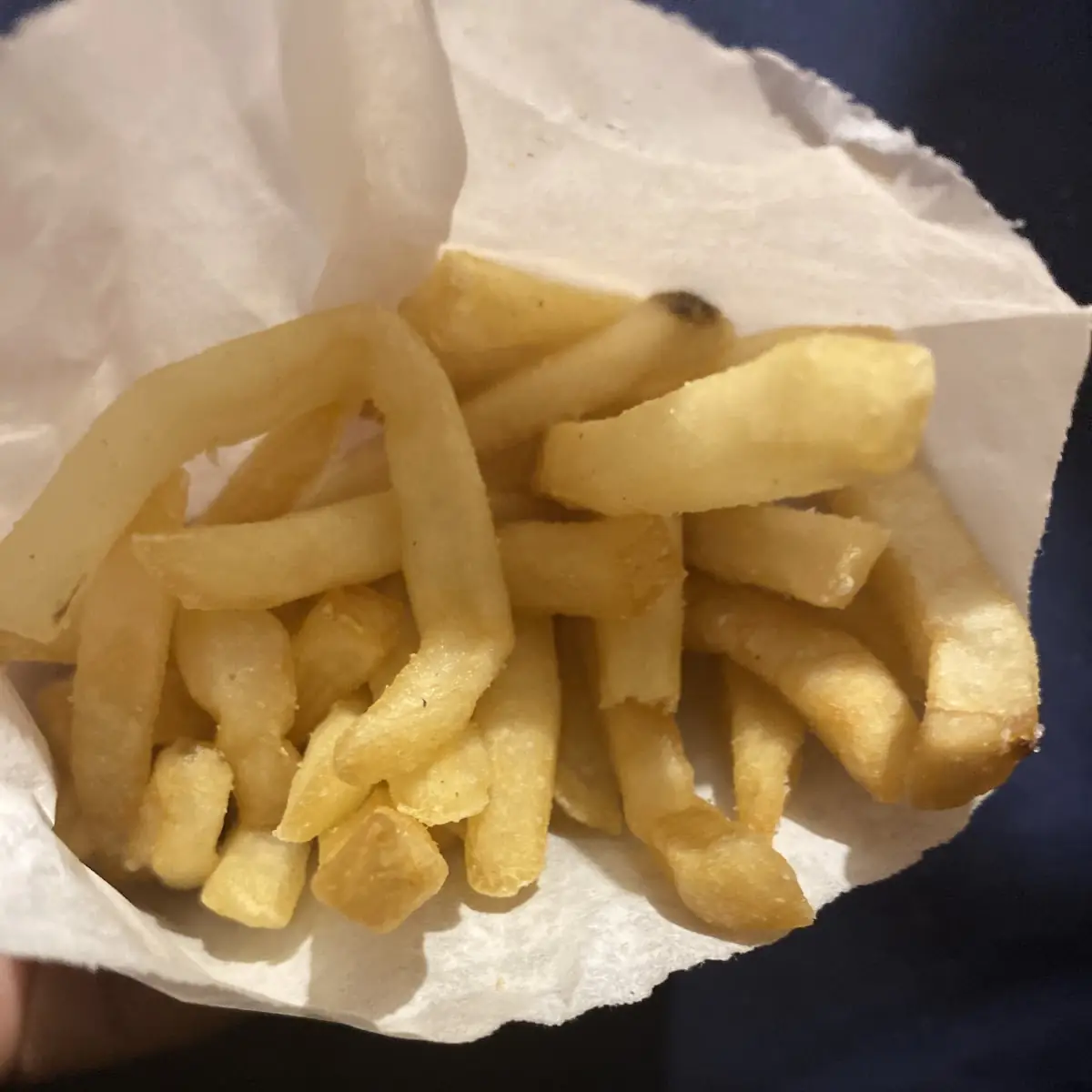 World Famous Fries