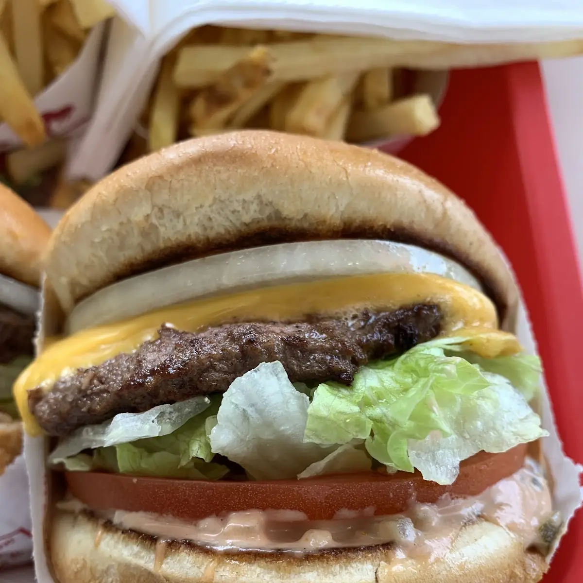 Double Cheeseburger and Fries