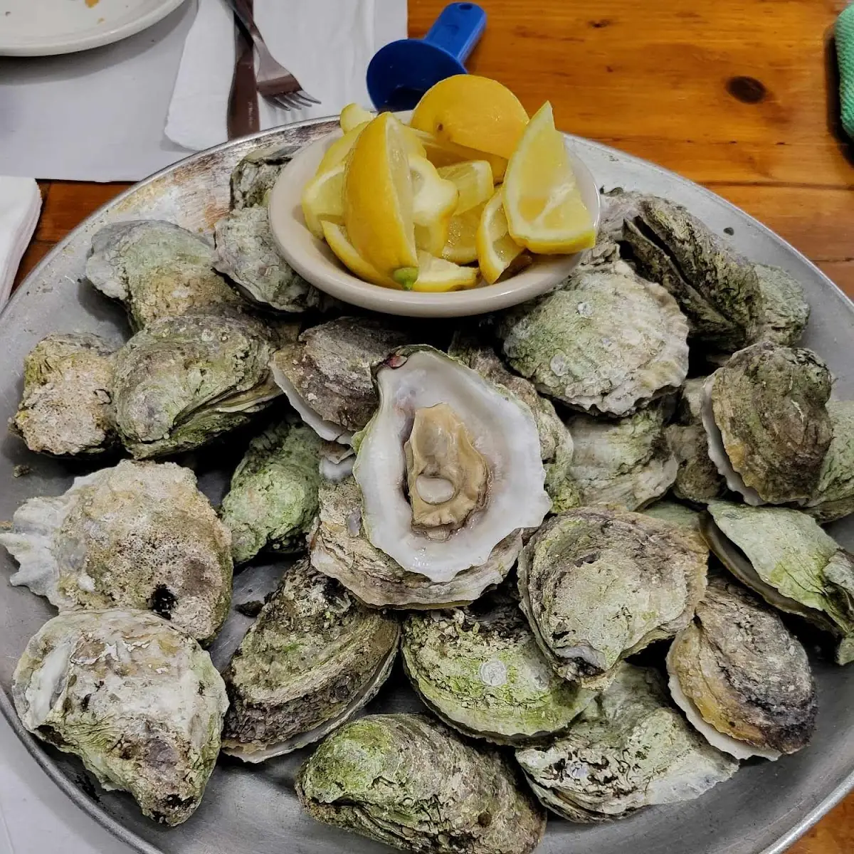 Oysters on the Half Shell