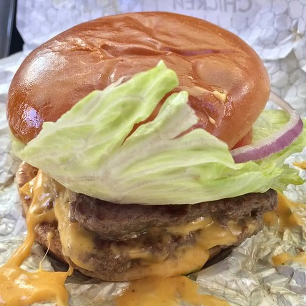 Double Cheeseburger
