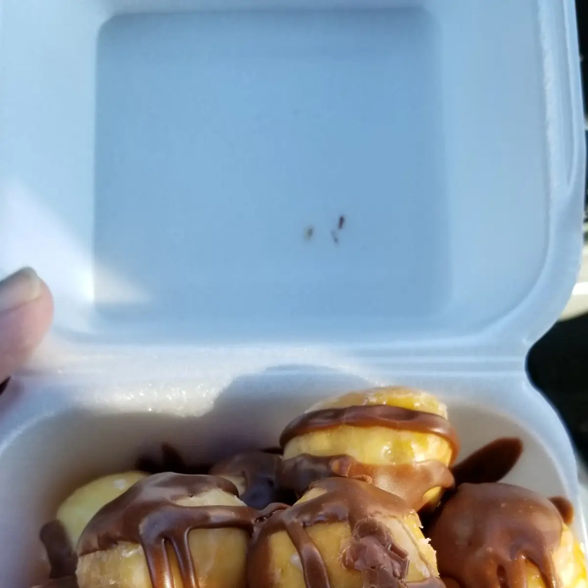 1 Dozen Donut Holes with Icing for an Additional Charge