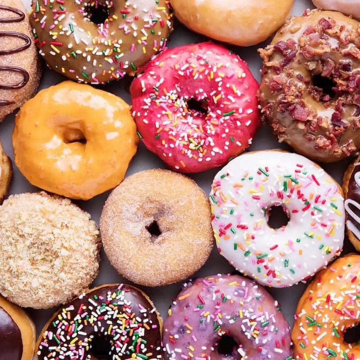 Doughnut