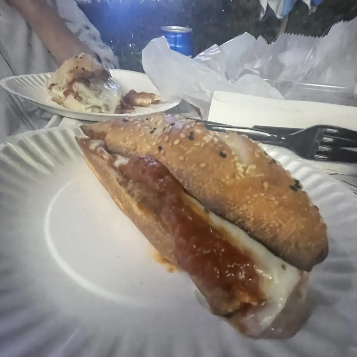 Chicken Parm Sub - Sub with Tomato Sauce and Cheese