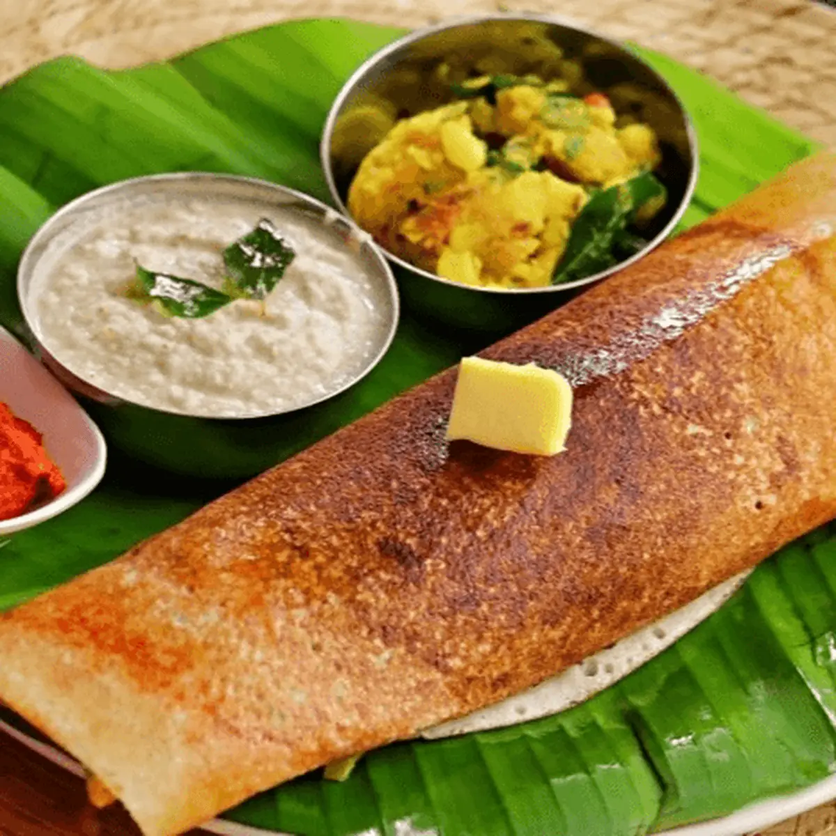 Plain Dosa