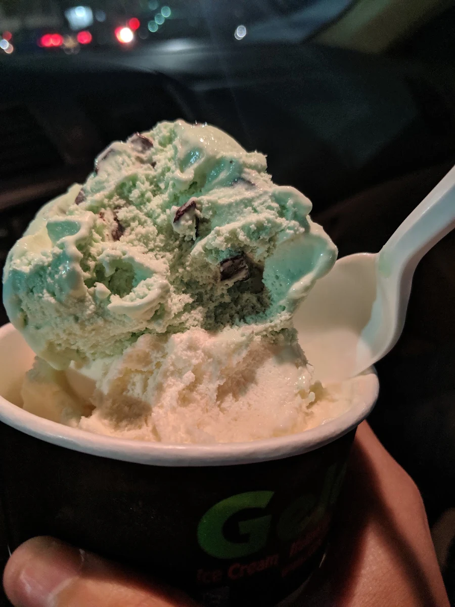 Mint Chocolate Chip Ice Cream