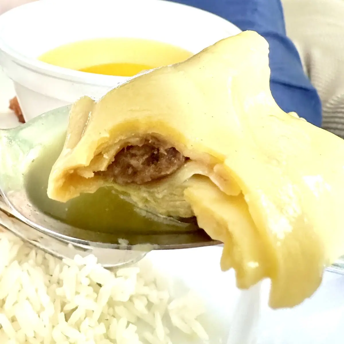 Wonton Soup