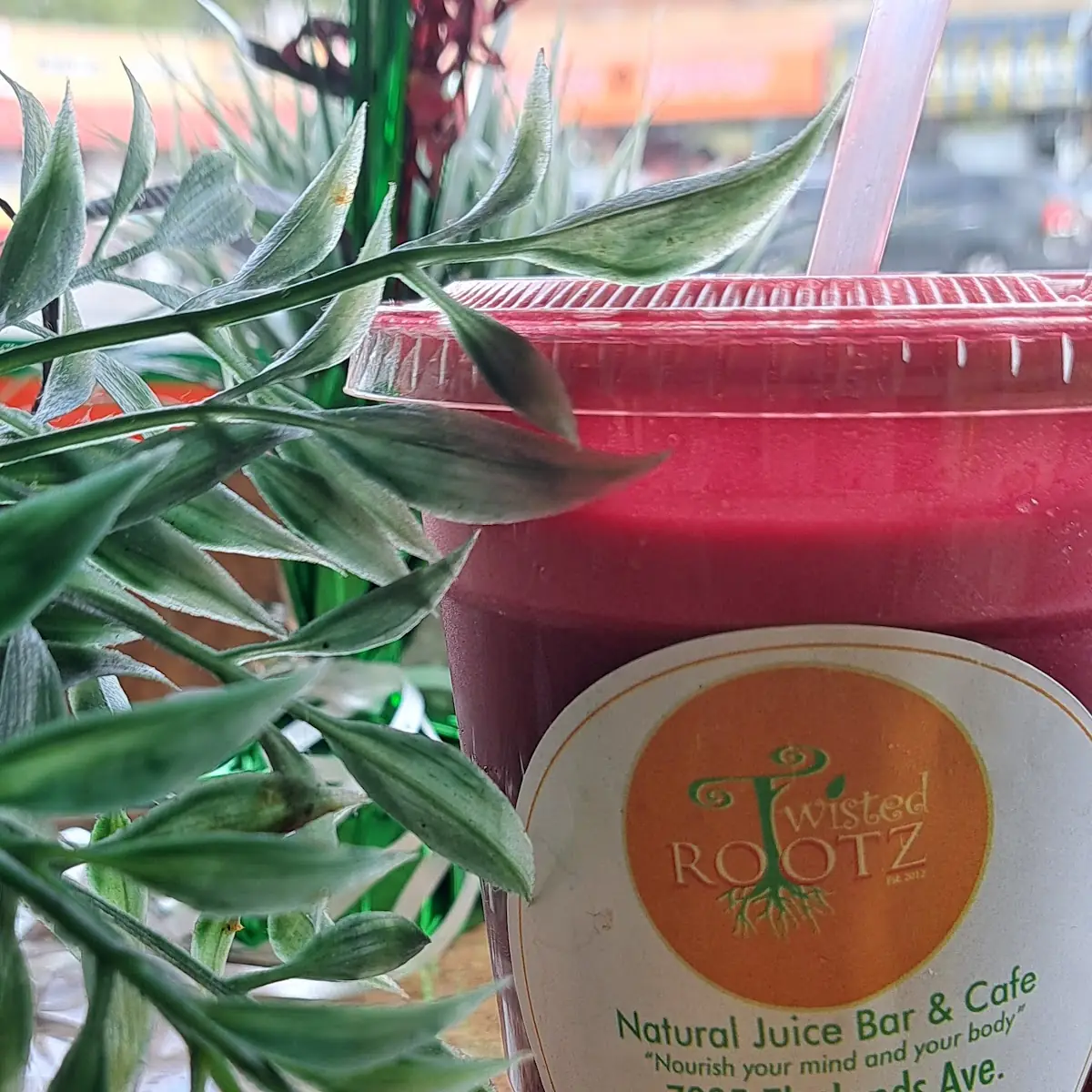 Fresh Pressed Juice