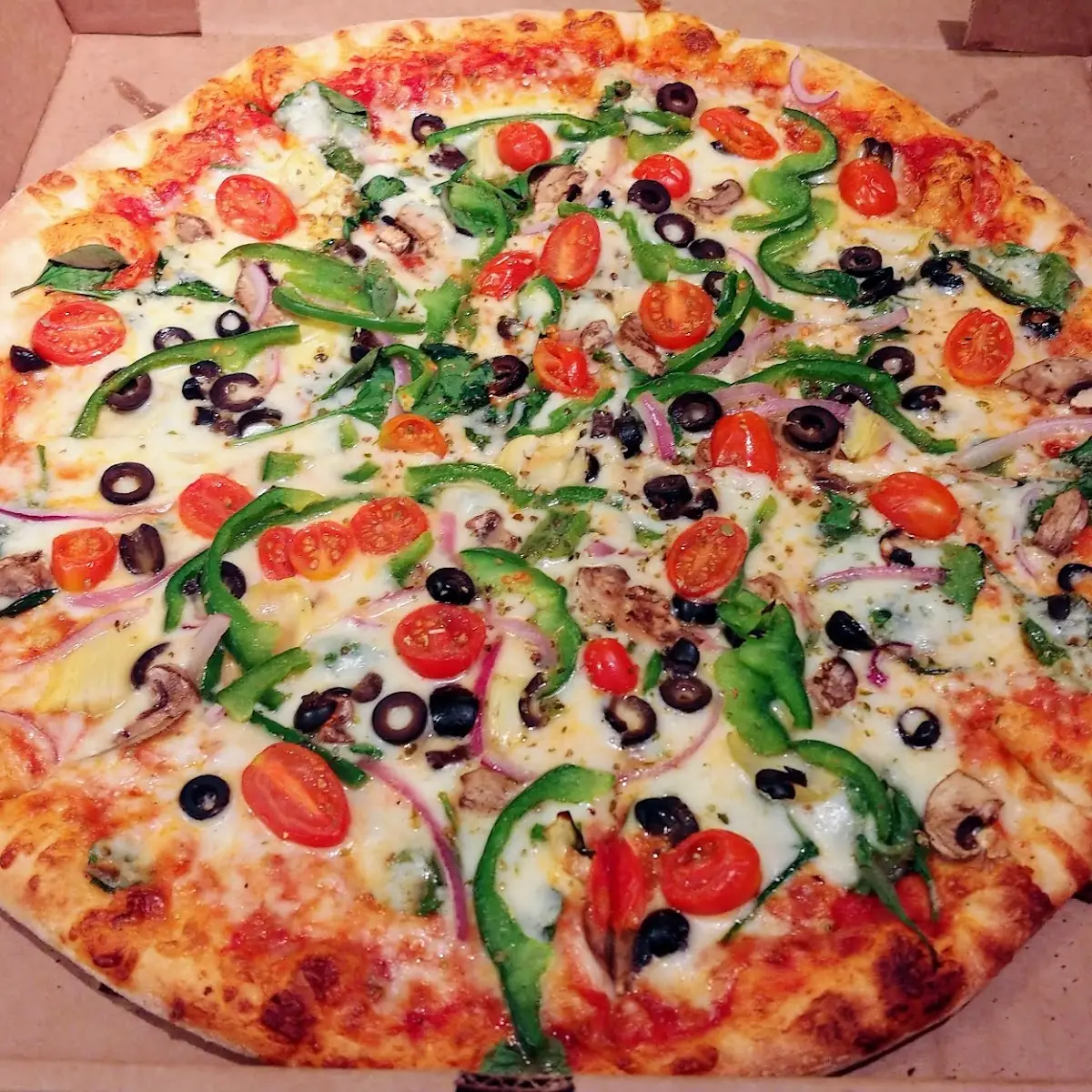 16 Plants Pizza