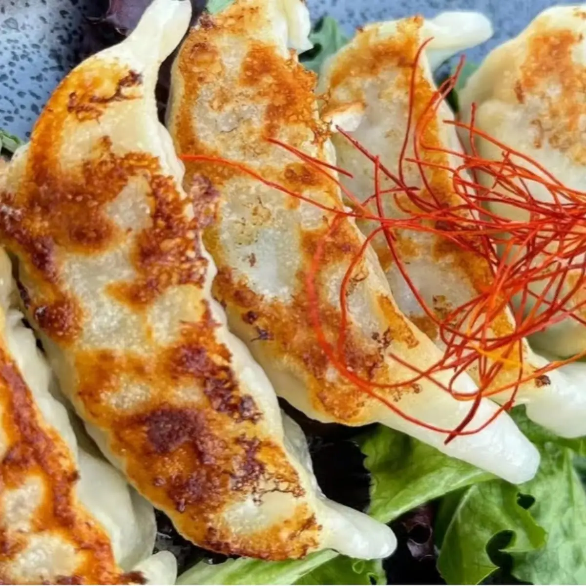 Gyoza (Dumpling)