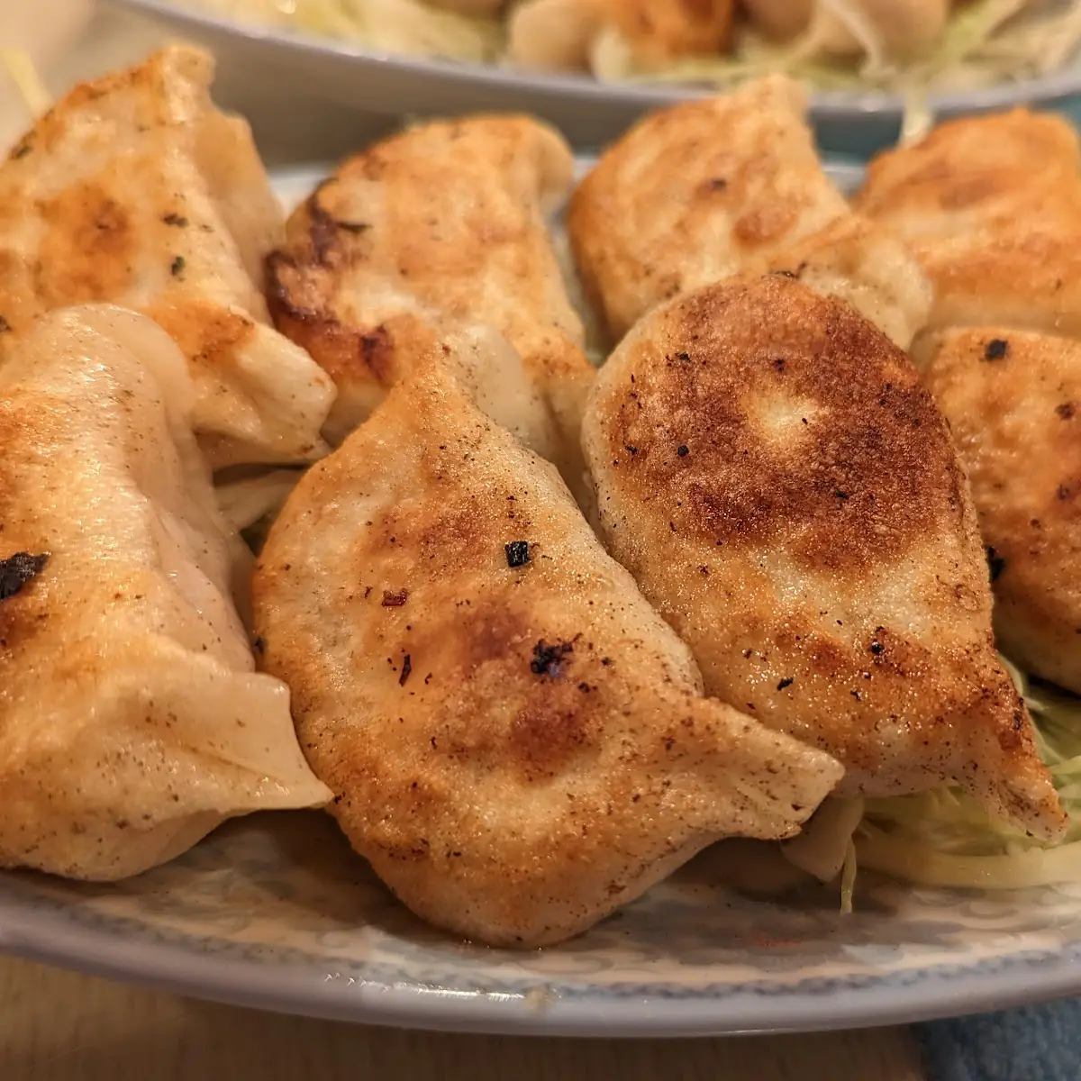 Pan-Fried Dumpling